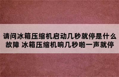 请问冰箱压缩机启动几秒就停是什么故障 冰箱压缩机响几秒啪一声就停